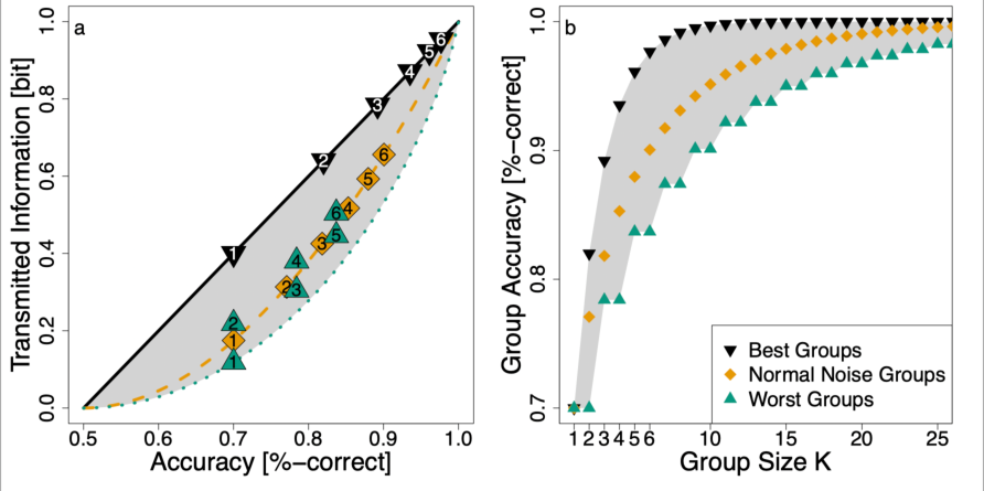 Information theory for cue combination